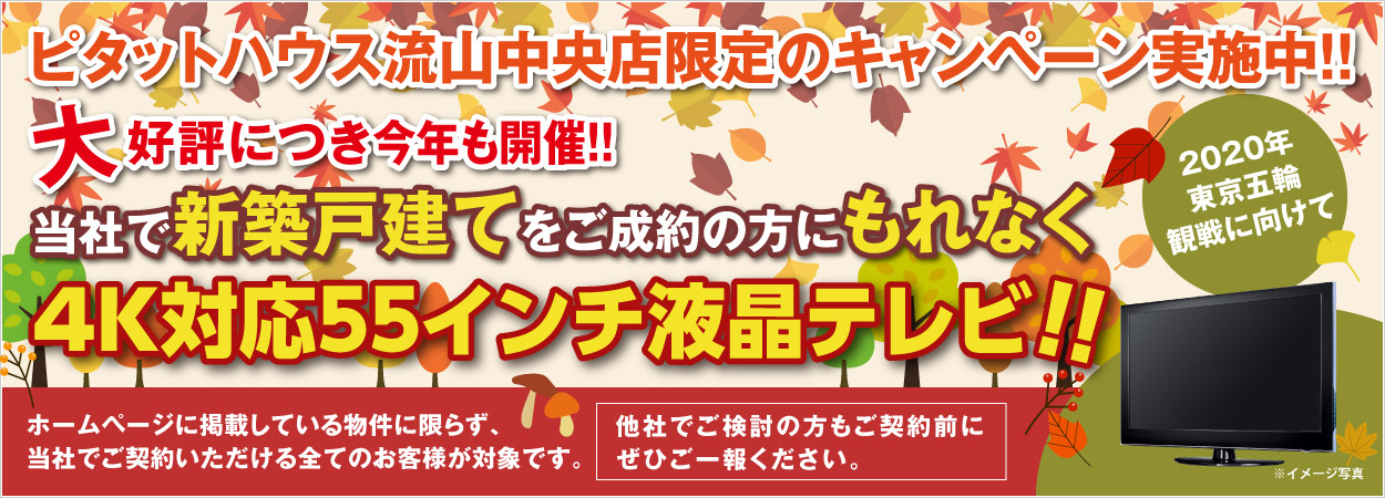 大好評につき今年も開催!!アイビスキャンペーン実施中!!